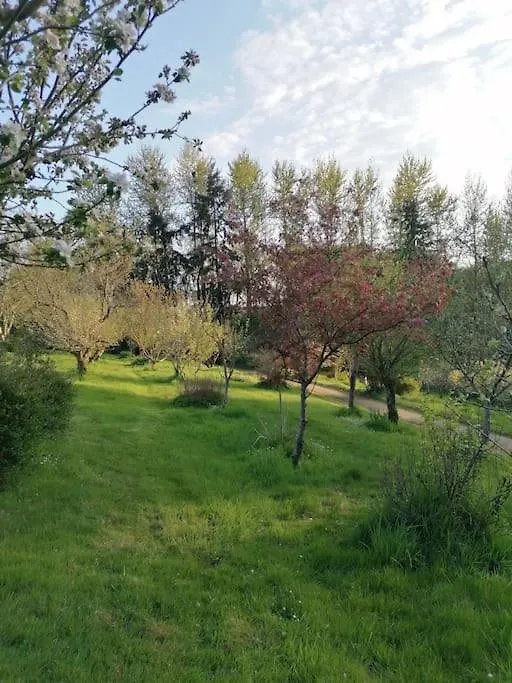 Chalet En Pleine Nature Au Bord D'Un Etang Lanvallay 0*,  Francia